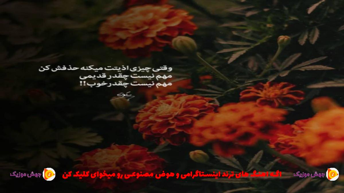 دانلود آهنگ میگن گنگی به ما میخوری لنگی درتو بذار از 